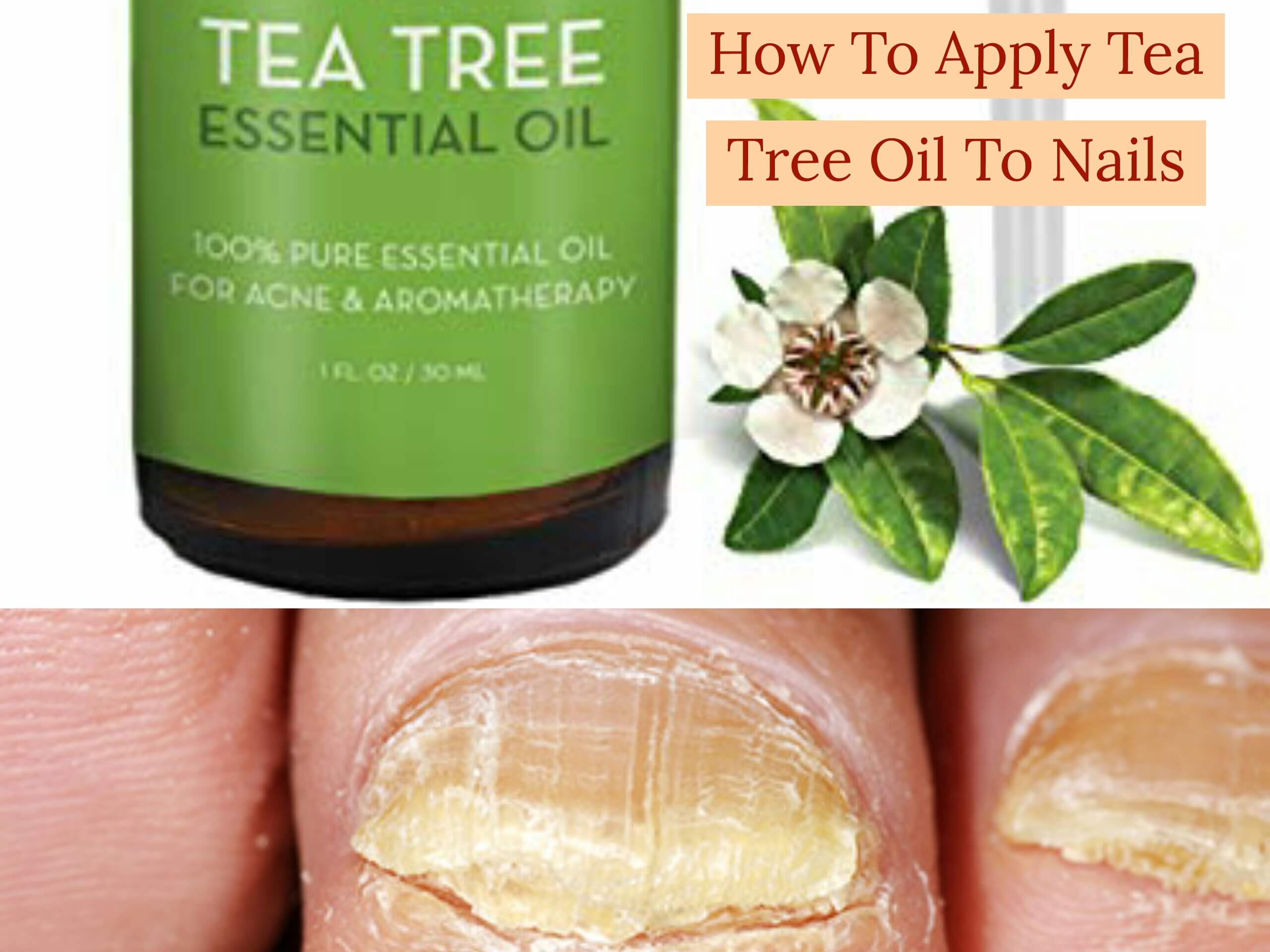 how to apply tea tree oil to nails