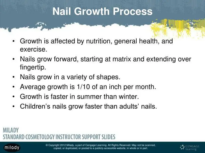 what-is-the-average-growth-rate-of-nails-in-adults-get-long-nails