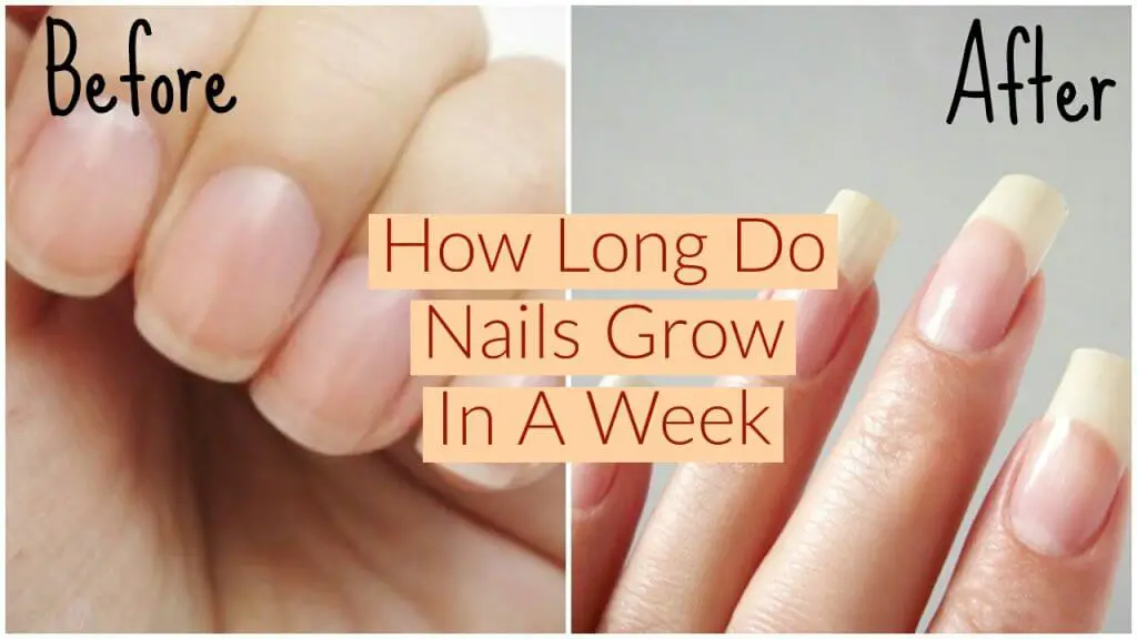how long does it take for nails to grow after biting