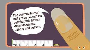 Why Do Toenails Grow Slower Than Fingernails, why do fingernails grow faster than toenails