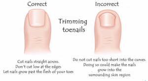 How Long Does It Take For A Toenail To Grow