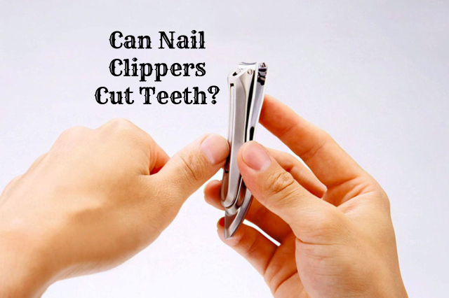 Can Nail Clippers Cut Teeth?